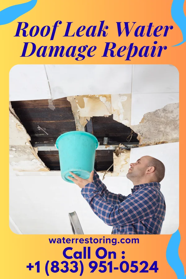 Roof Leak Water Damage Repair in Hansboro, ND